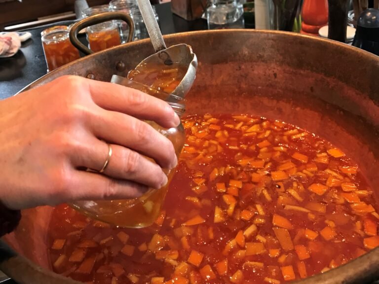 actualités de Miels et Saveurs