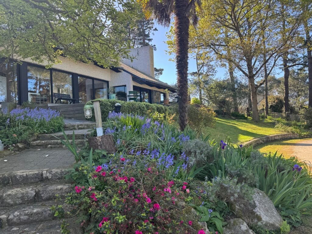 Mané Braz au printemps 1 IMG 8335