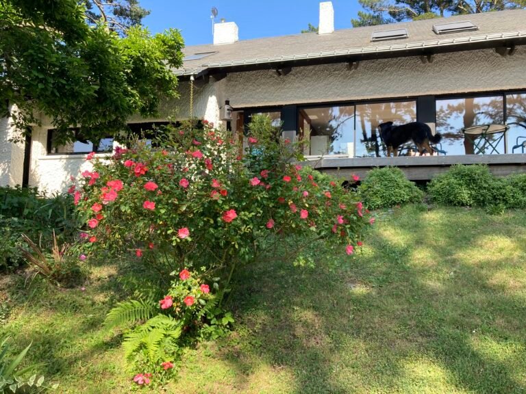 actualités de Miels et Saveurs